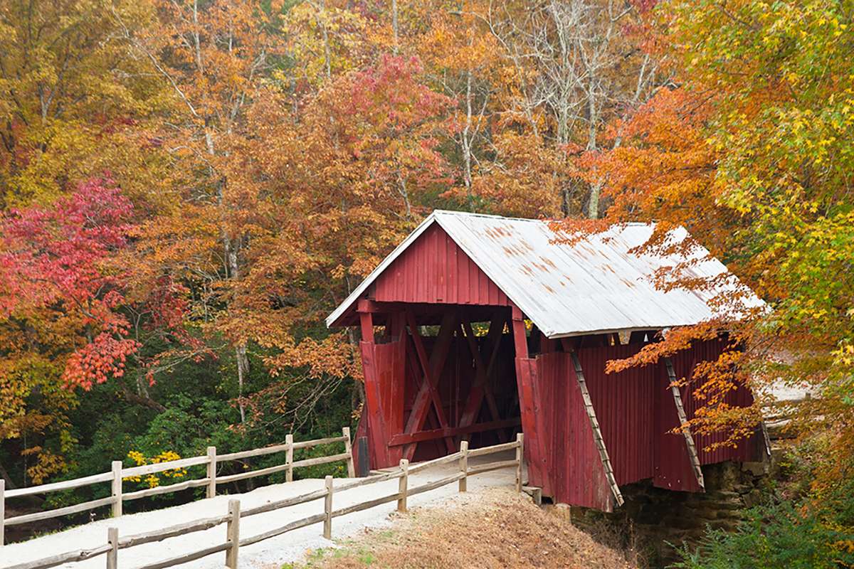 Campbell's Covered Bridge, a red timber bridge in Greenville County, surrounded by autumn foliage.