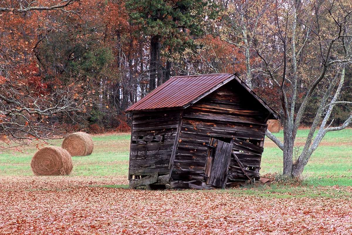 A weathered wooden barn and round hay bales on open farmland in Greenville County, hardwoods turning colour behind it.