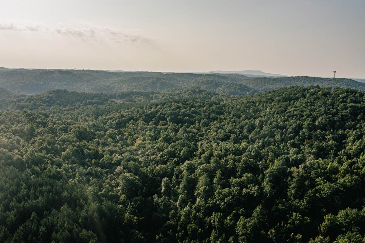 Unbroken hardwood forest covering ridgelines in northern Greenville County.